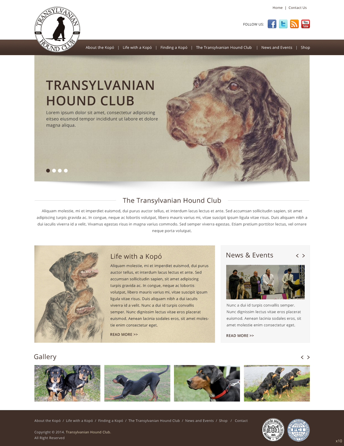 Web Design by pb for S.T.I.L. Consulting | Design #3548932