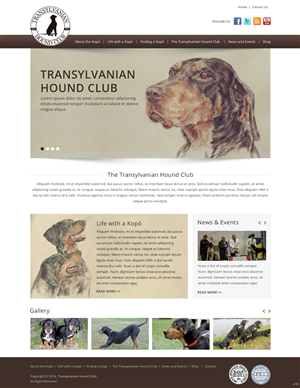 Web Design by pb for S.T.I.L. Consulting | Design: #3548932