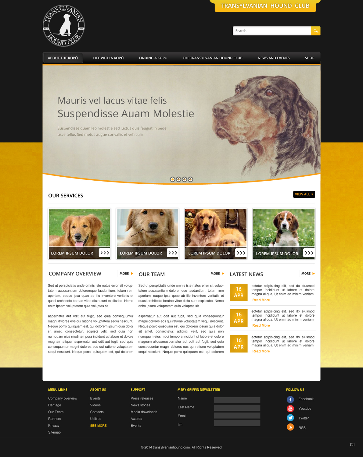 Web Design by pb for S.T.I.L. Consulting | Design #3548935
