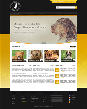 Web Design by pb for S.T.I.L. Consulting | Design: #3548935