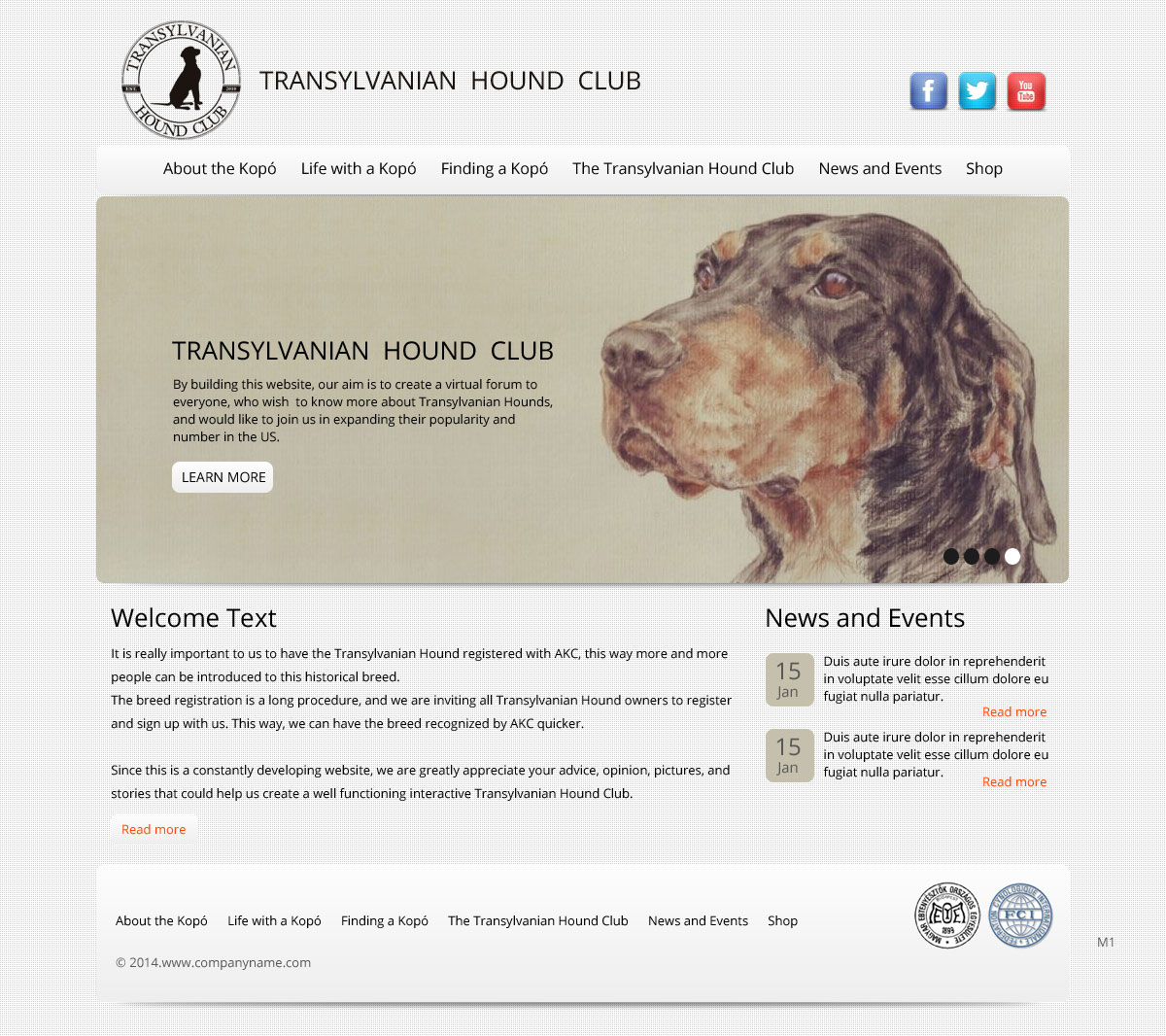 Web Design by pb for S.T.I.L. Consulting | Design #3548943