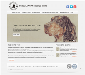 Web Design by pb for S.T.I.L. Consulting | Design: #3548943