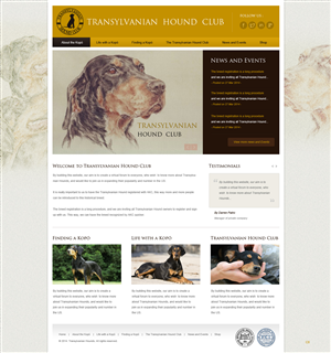 Web Design by pb for S.T.I.L. Consulting | Design: #3548947