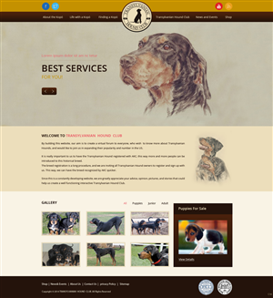 Web Design by pb for S.T.I.L. Consulting | Design: #3548948