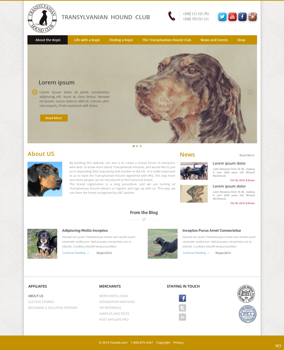 Web Design by pb for S.T.I.L. Consulting | Design #3548950