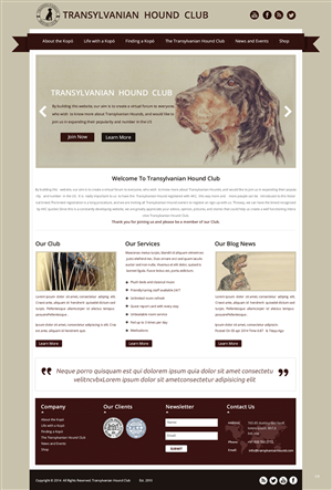 Web Design by pb for S.T.I.L. Consulting | Design: #3548951