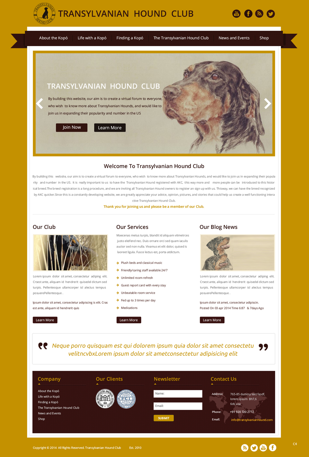 Web-Design von pb für S.T.I.L. Consulting | Design #3548953