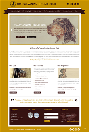Web Design by pb for S.T.I.L. Consulting | Design: #3548953