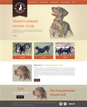 Web Design by pb for S.T.I.L. Consulting | Design: #3548955