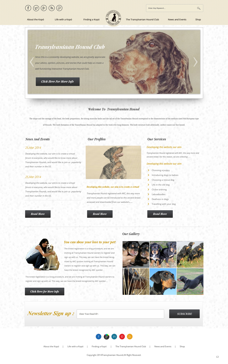 Web-Design von pb für S.T.I.L. Consulting | Design #3548961
