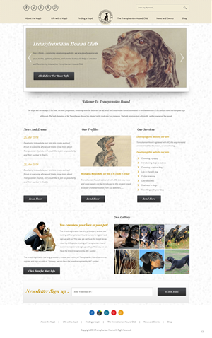 Web Design by pb for S.T.I.L. Consulting | Design: #3548961