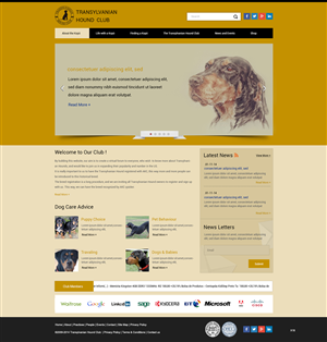 Web Design by pb for S.T.I.L. Consulting | Design: #3548963