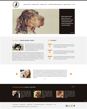 Web Design by pb for S.T.I.L. Consulting | Design: #3548965