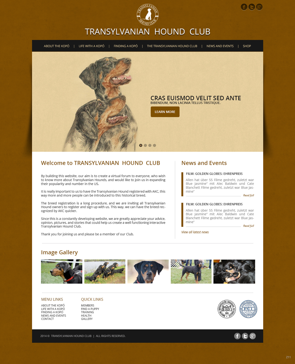 Web-Design von pb für S.T.I.L. Consulting | Design #3548972