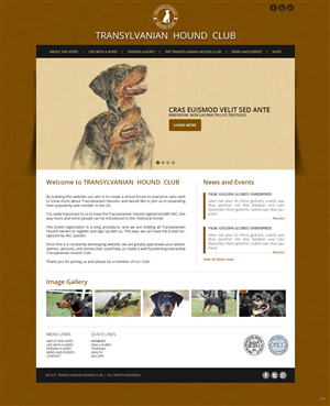 Web Design by pb for S.T.I.L. Consulting | Design: #3548972
