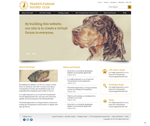 Web Design by pb for S.T.I.L. Consulting | Design: #3548974
