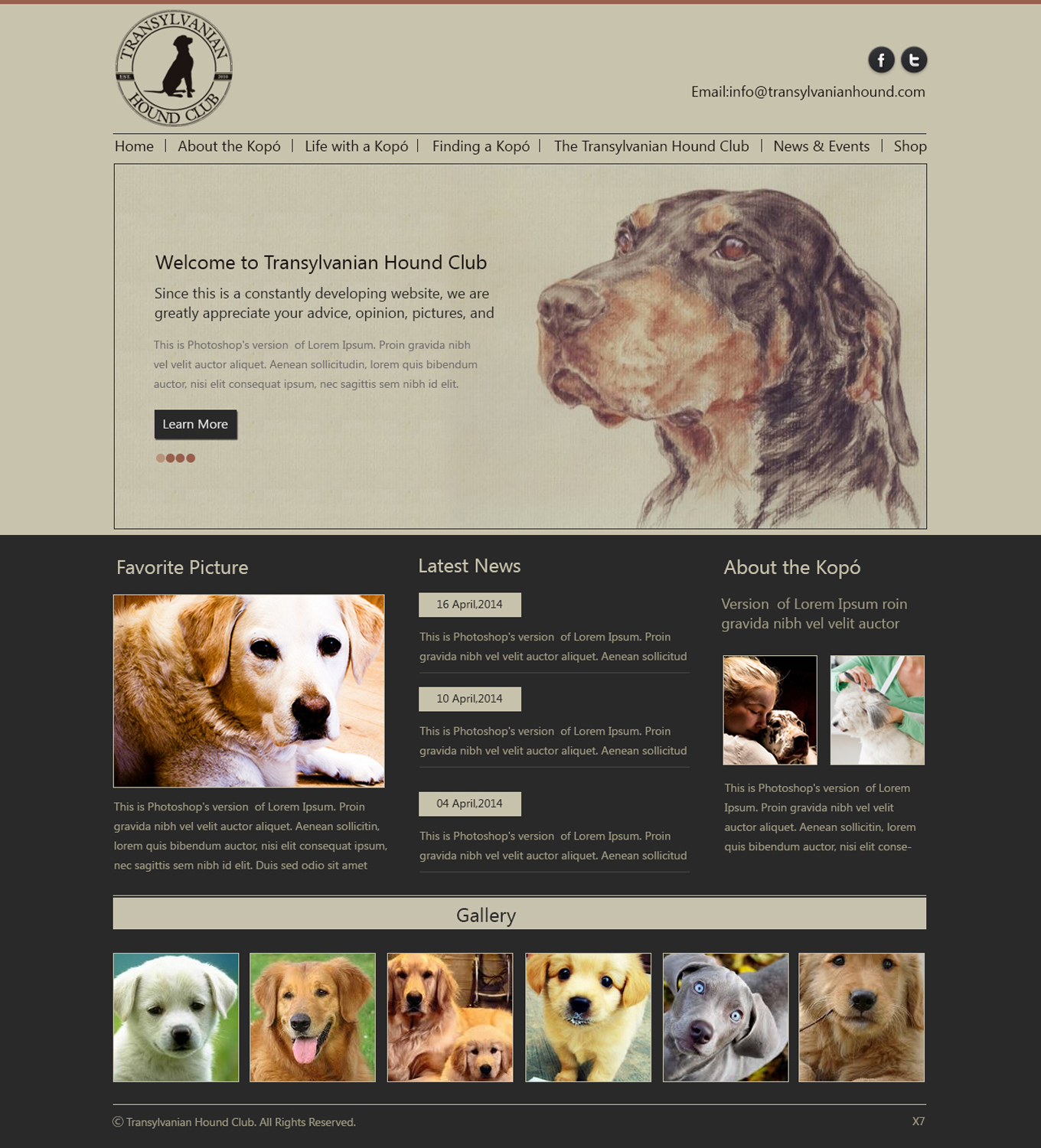 Web Design by pb for S.T.I.L. Consulting | Design #3548976