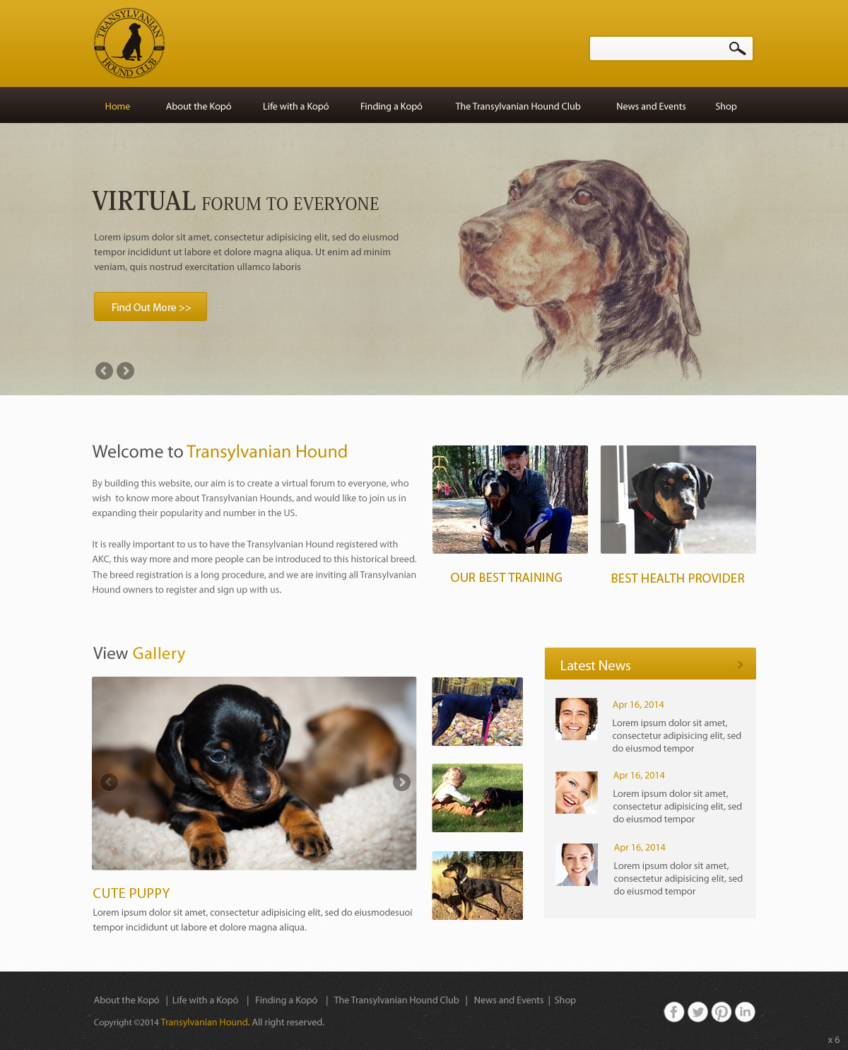 Web-Design von pb für S.T.I.L. Consulting | Design #3548979