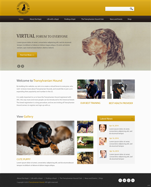 Web Design by pb for S.T.I.L. Consulting | Design: #3548979