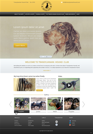 Web Design by pb for S.T.I.L. Consulting | Design: #3548985