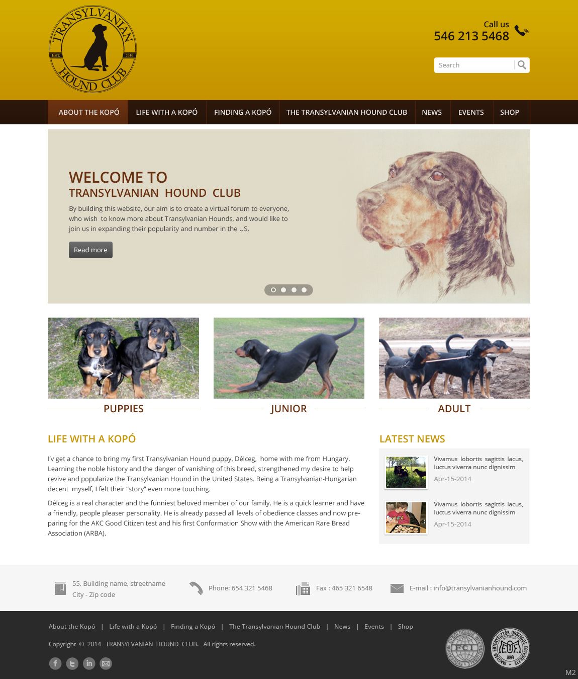 Web Design by pb for S.T.I.L. Consulting | Design #3548988
