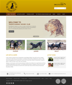 Web Design by pb for S.T.I.L. Consulting | Design: #3548988