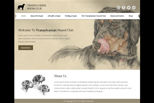 Web Design by OM