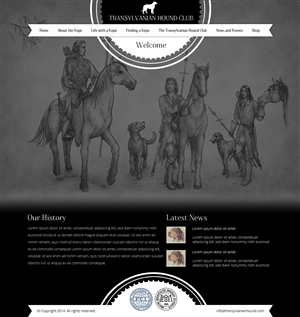 Web Design by OM for S.T.I.L. Consulting | Design: #3714994