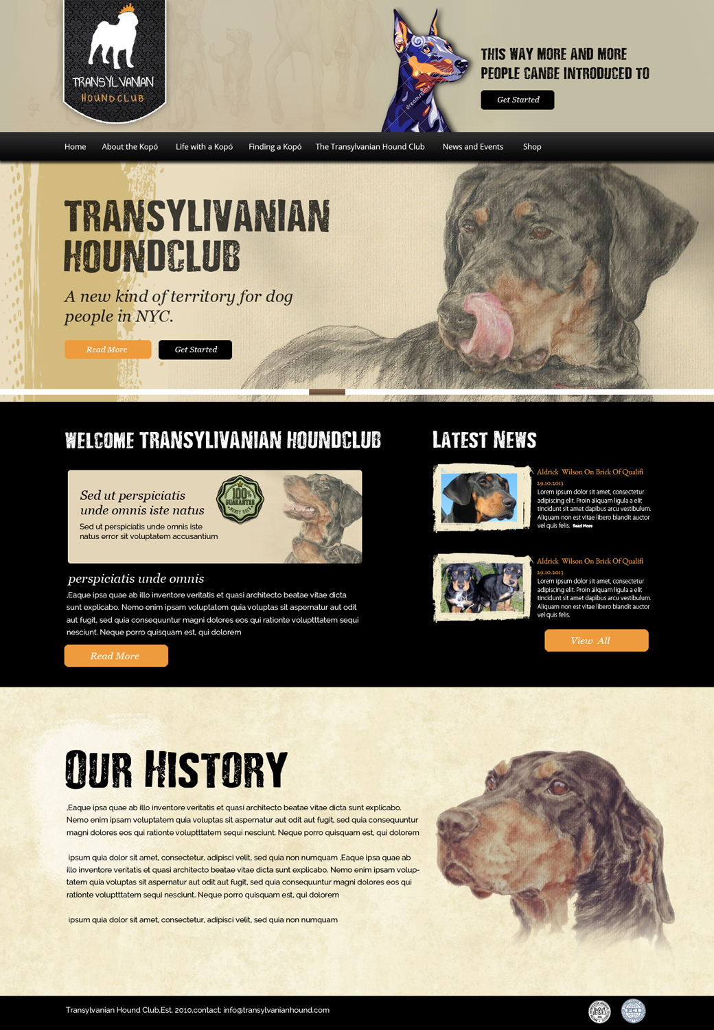 Web Design by OM for S.T.I.L. Consulting | Design #3715006