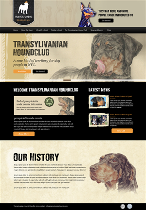 Web Design by OM for S.T.I.L. Consulting | Design: #3715006