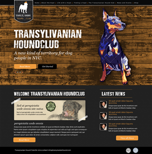 Web Design by OM for S.T.I.L. Consulting | Design: #3715027