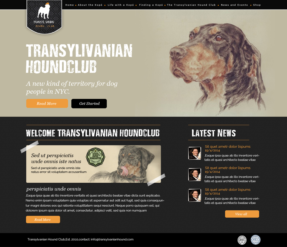 Web Design by OM for S.T.I.L. Consulting | Design #3715029