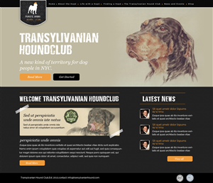 Web Design by OM for S.T.I.L. Consulting | Design: #3715029