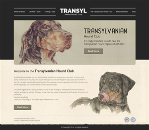 Web Design by OM for S.T.I.L. Consulting | Design: #3715030