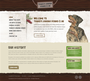 Web Design by OM for S.T.I.L. Consulting | Design: #3720283