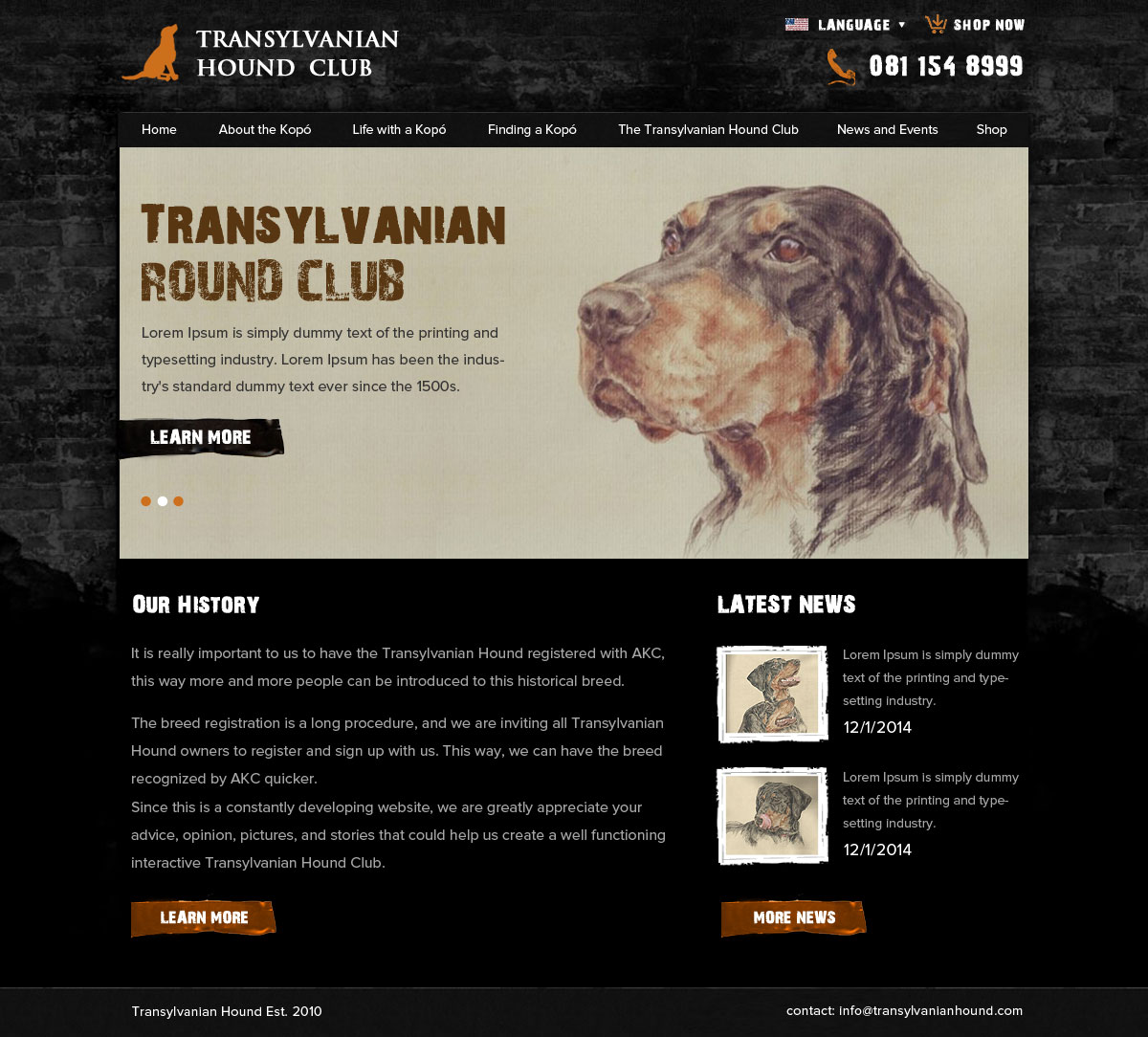 Web Design by OM for S.T.I.L. Consulting | Design #3720305