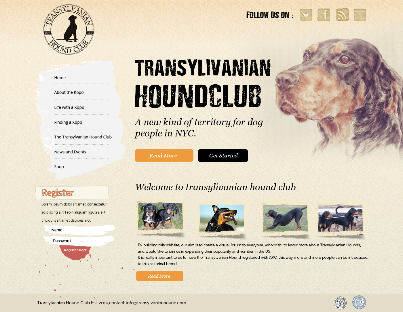 Web Design by OM for S.T.I.L. Consulting | Design #3720389