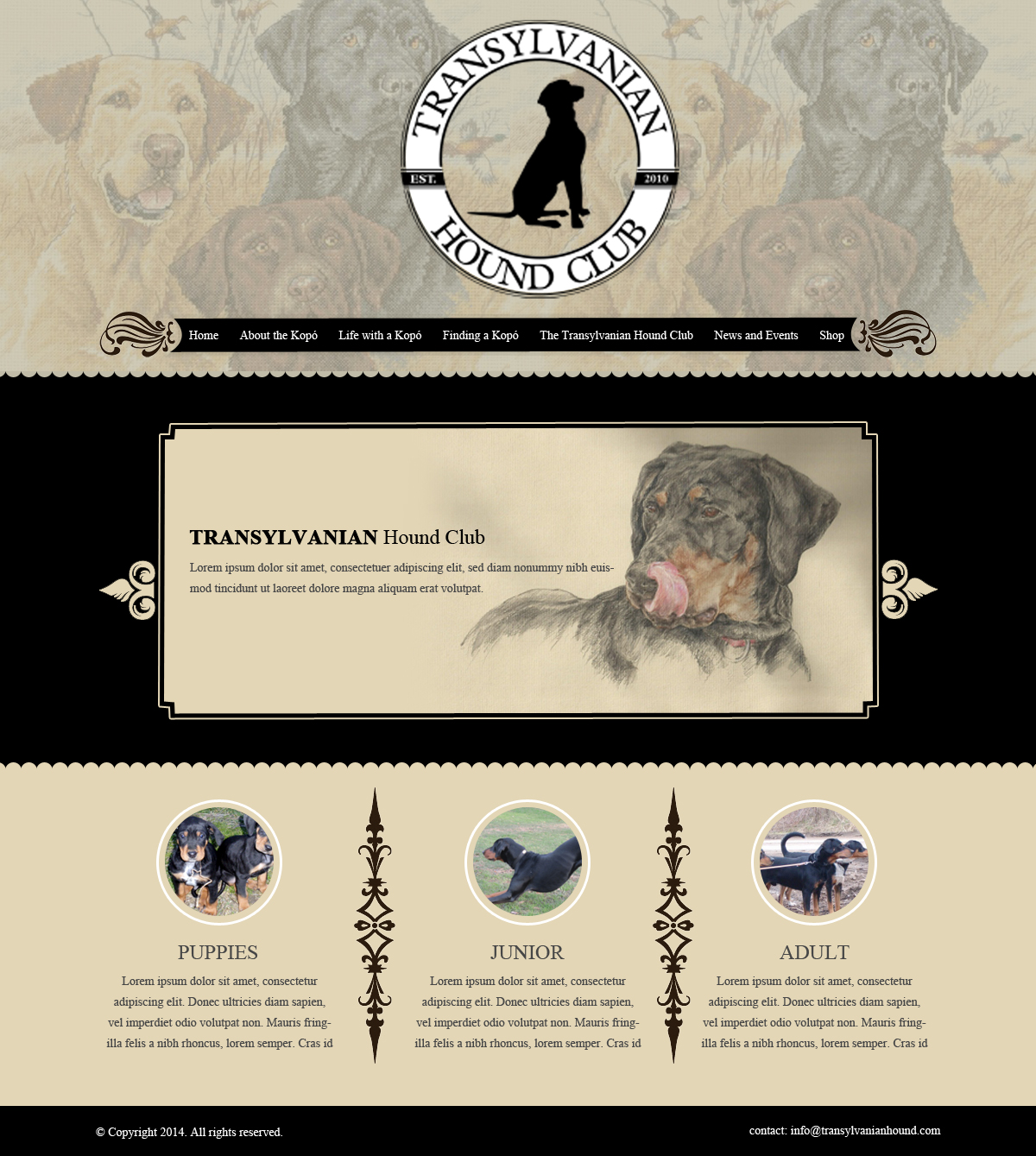 Web-Design von OM für S.T.I.L. Consulting | Design #3720400