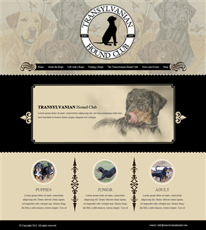 Web Design by OM for S.T.I.L. Consulting | Design: #3720400