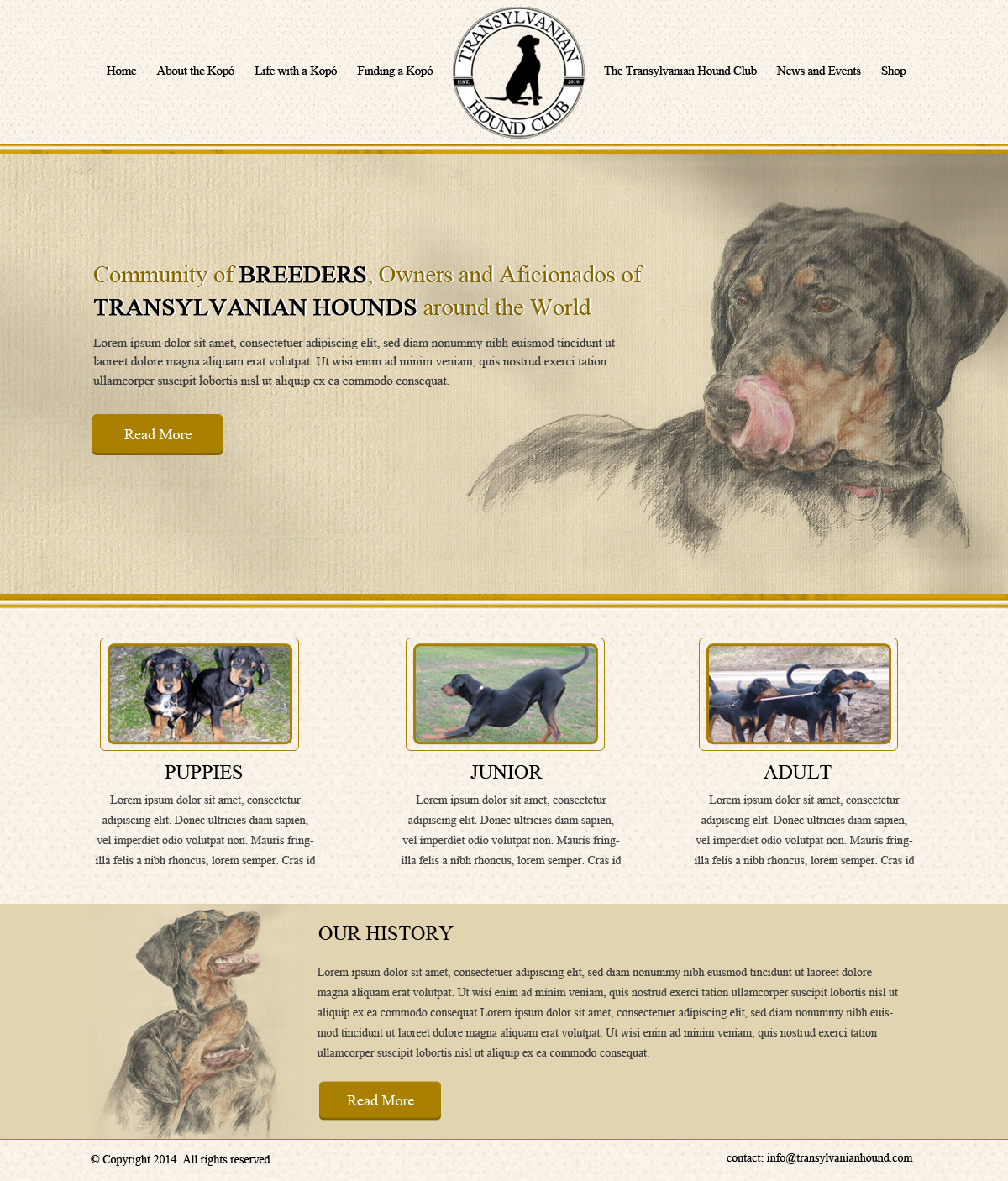 Web Design by OM for S.T.I.L. Consulting | Design #3720408