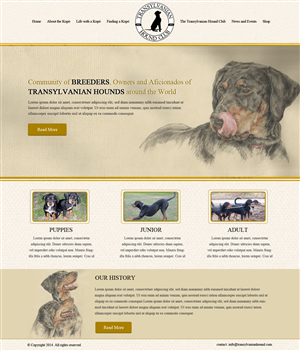 Web Design by OM for S.T.I.L. Consulting | Design: #3720408