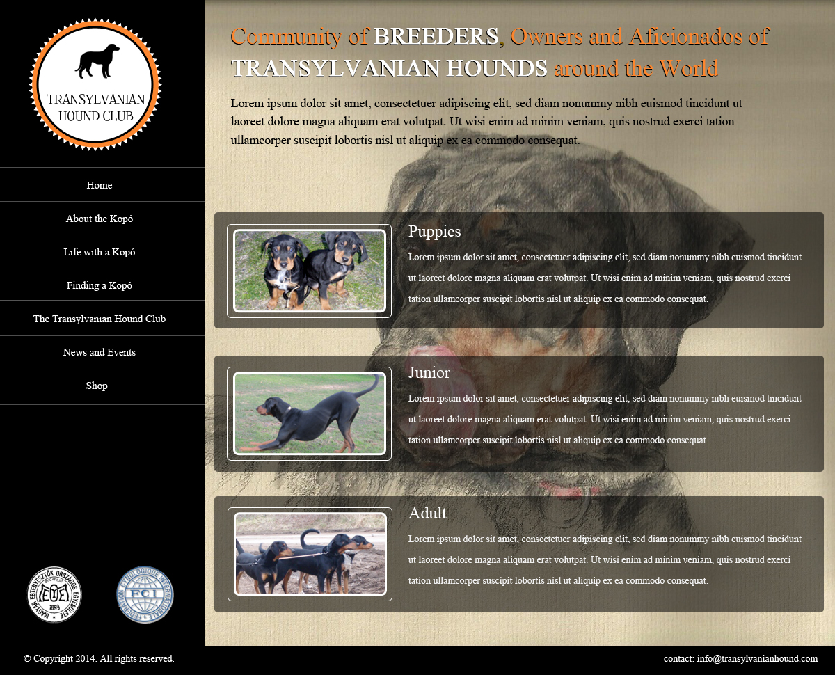 Web Design by OM for S.T.I.L. Consulting | Design #3720419