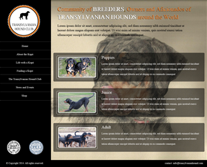 Web Design by OM for S.T.I.L. Consulting | Design: #3720419