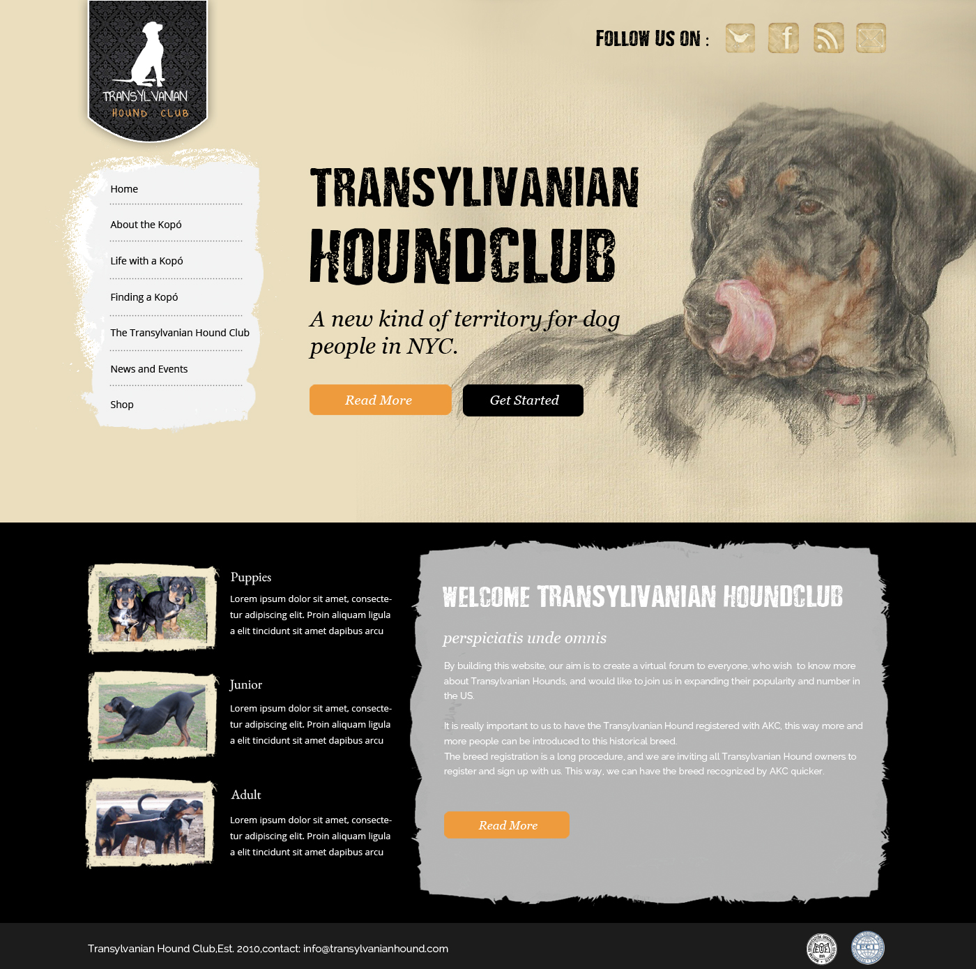 Web Design by OM for S.T.I.L. Consulting | Design #3720425