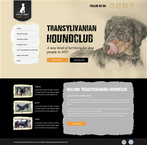 Web Design by OM for S.T.I.L. Consulting | Design: #3720425