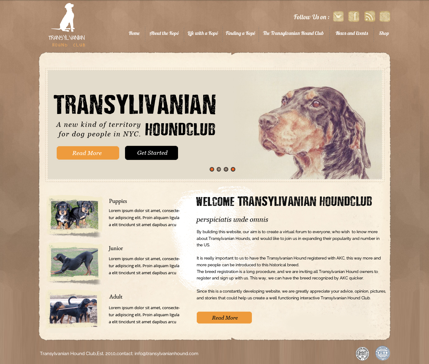 Web Design by OM for S.T.I.L. Consulting | Design #3720428