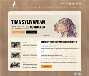 Web Design by OM for S.T.I.L. Consulting | Design: #3720428
