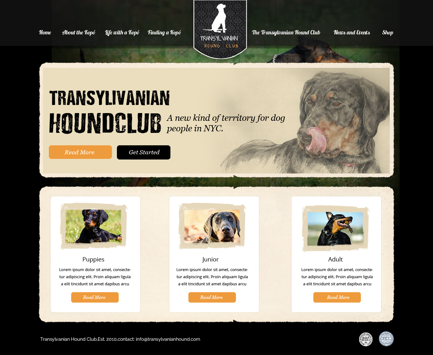 Web Design by OM for S.T.I.L. Consulting | Design #3720433