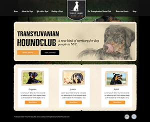 Web Design by OM for S.T.I.L. Consulting | Design: #3720433