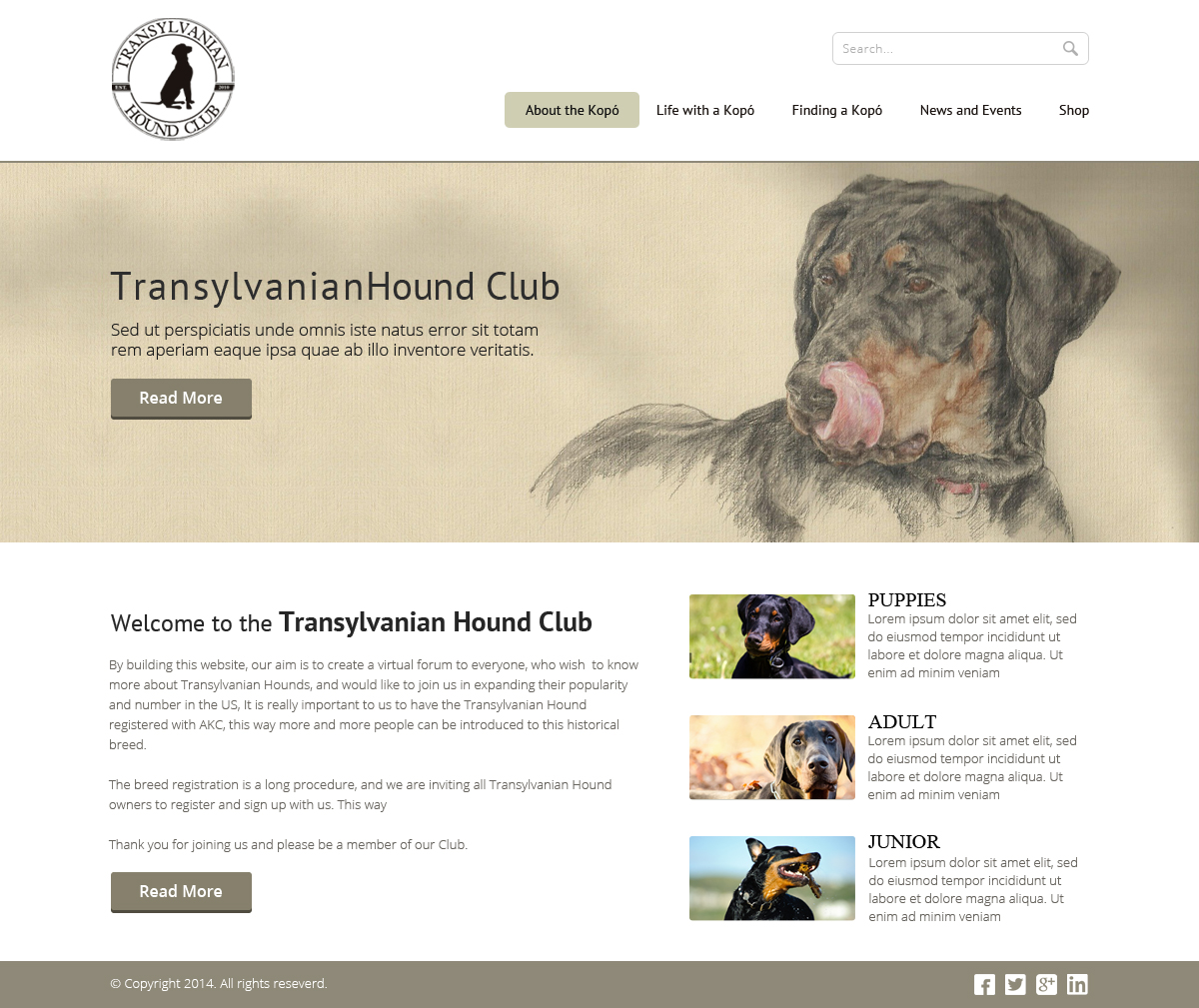 Web Design by OM for S.T.I.L. Consulting | Design #3720441